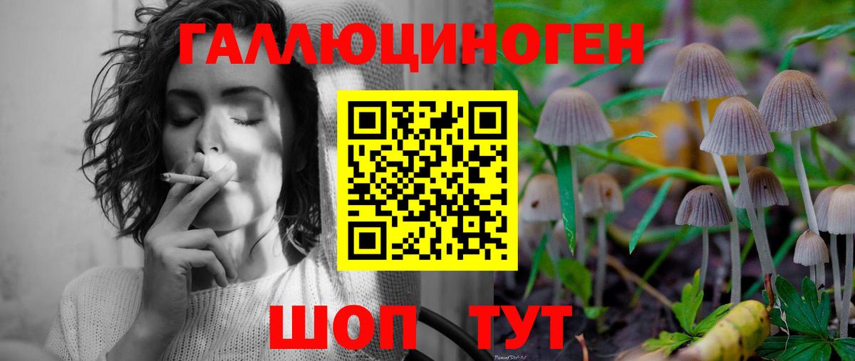 Южноуральск  Галлюциногенные грибы MAGIC MUSHROOMS  Вход с VPN 